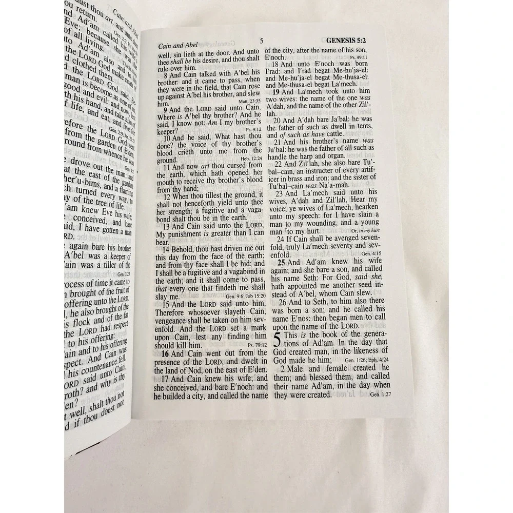 KJV Giant Print Reference Bible Pink Holman Hand Size King James Version
